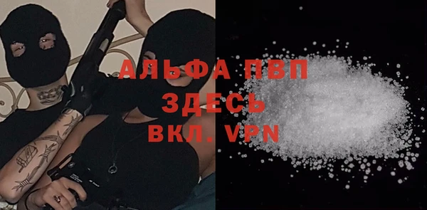 сатива Балахна