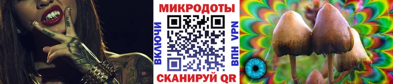 Псилоцибиновые грибы ЛСД Судогда