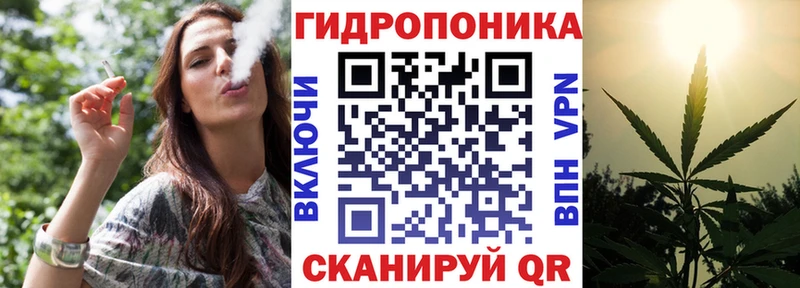 Шишки марихуана индика  KRAKEN ССЫЛКА  Судогда  где продают наркотики 